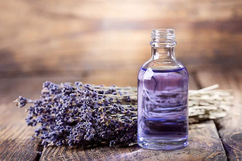 lavender-essential-oil